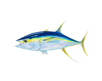 SRA3 Digitaler Reproduktionsdruck eines Gelbflossen-Thunfischs auf Leinenpapier, der pelagische Fische Fischen Art Fischen Art ocean oceanart Tunas Fischen