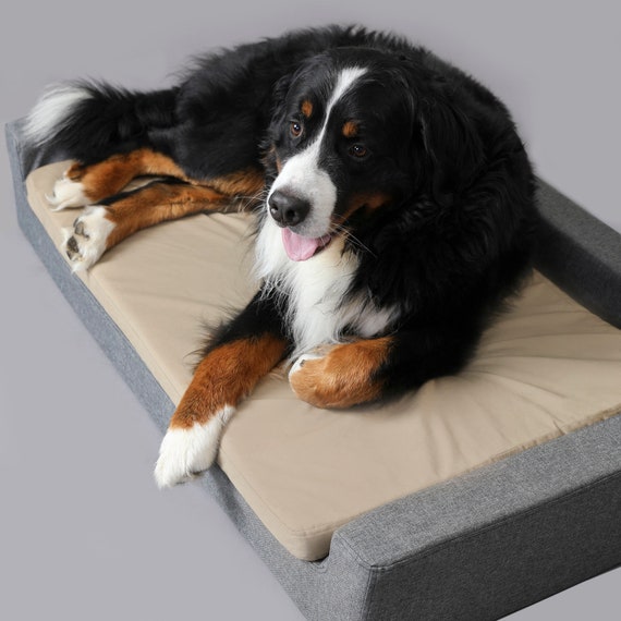 large dog mattress