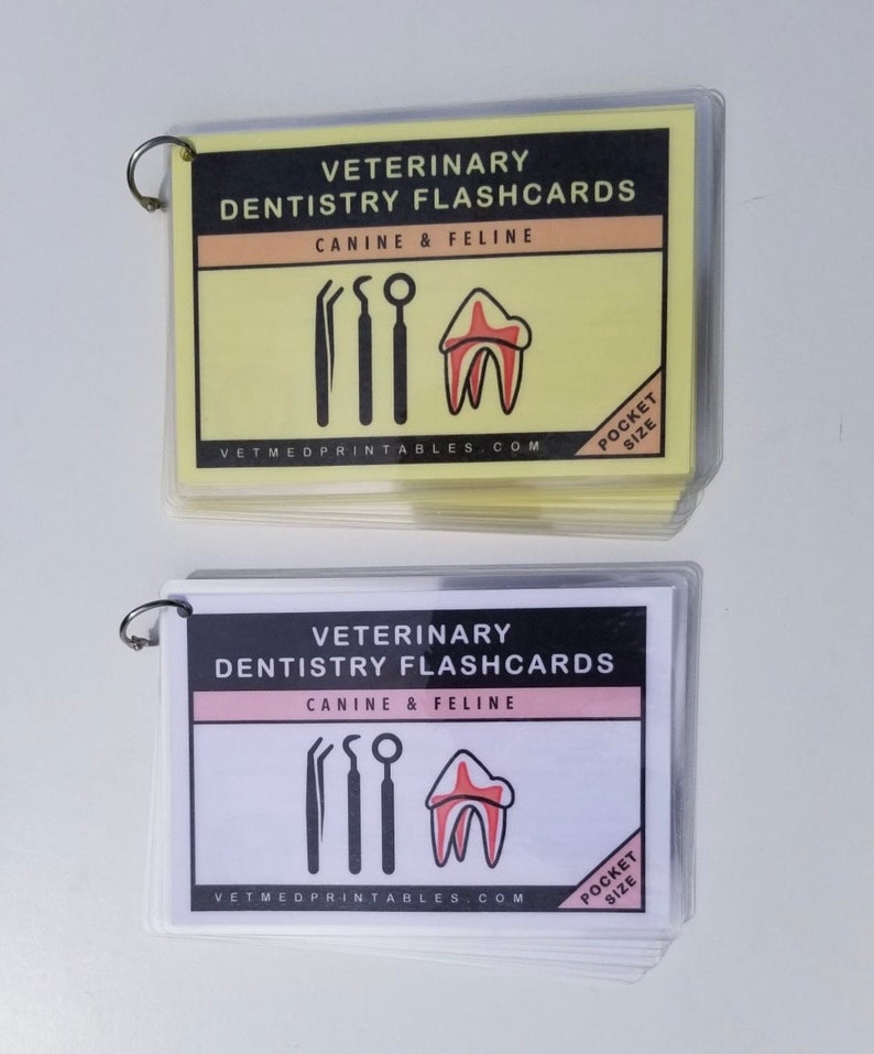 Veterinary Dentistry Flashcards Veterinary Pocket Book Etsy UK