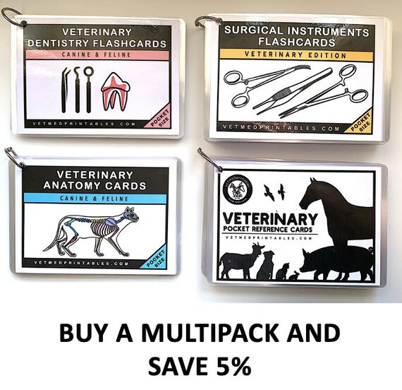 Set of 4 Veterinary Pocket Flashcards Bundle Veterinary Etsy