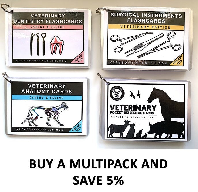 Set of 4 Veterinary Pocket Flashcards Bundle Veterinary - Etsy