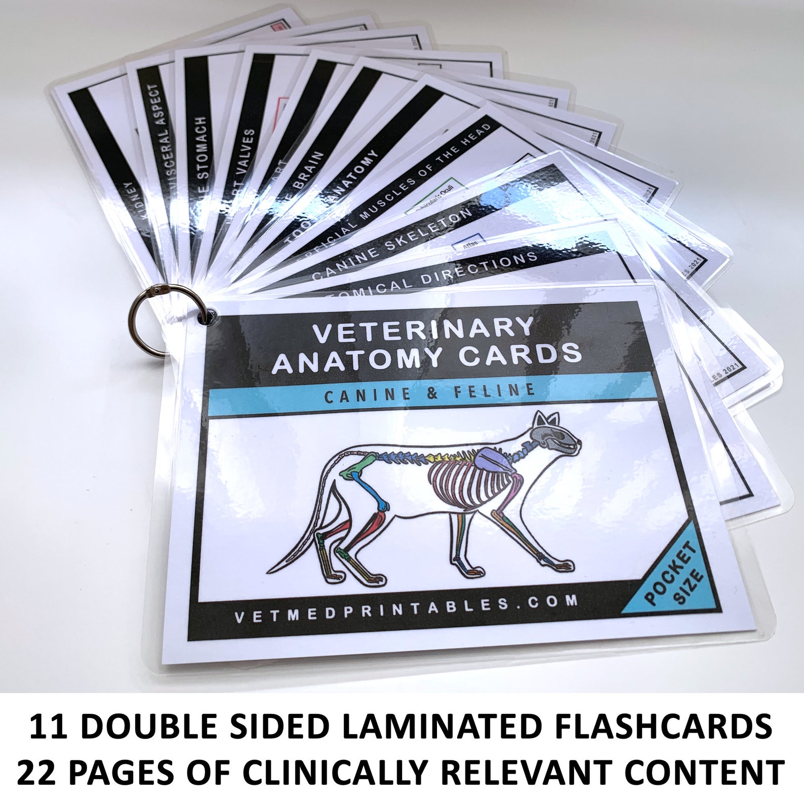 Veterinary Anatomy Flashcards Veterinary Pocket Book - Etsy UK