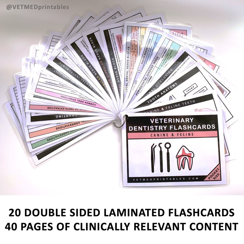 Veterinary Dentistry Flashcards Veterinary Pocket book Etsy