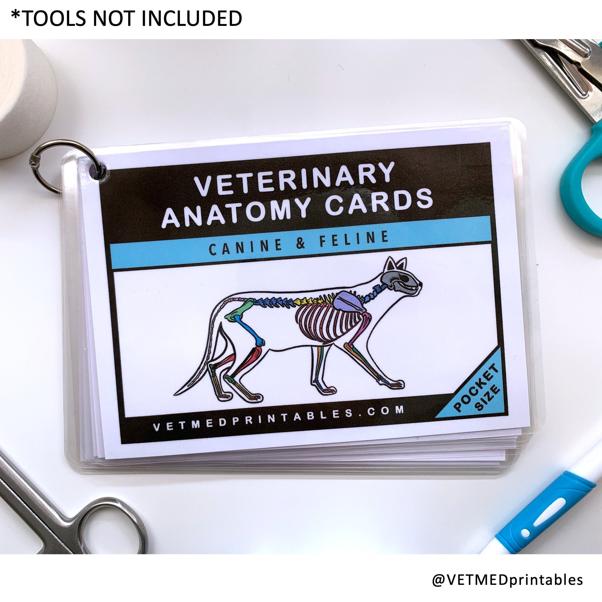 Veterinary Anatomy Flashcards Veterinary Pocket Book Etsy UK