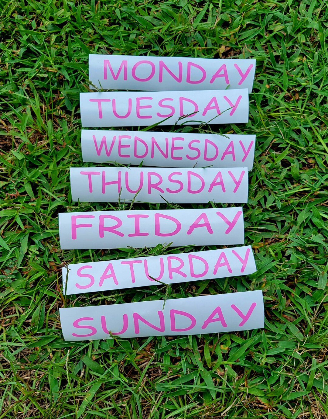days-of-the-week-stickers-school-decal-stickers-decal-for-classroom