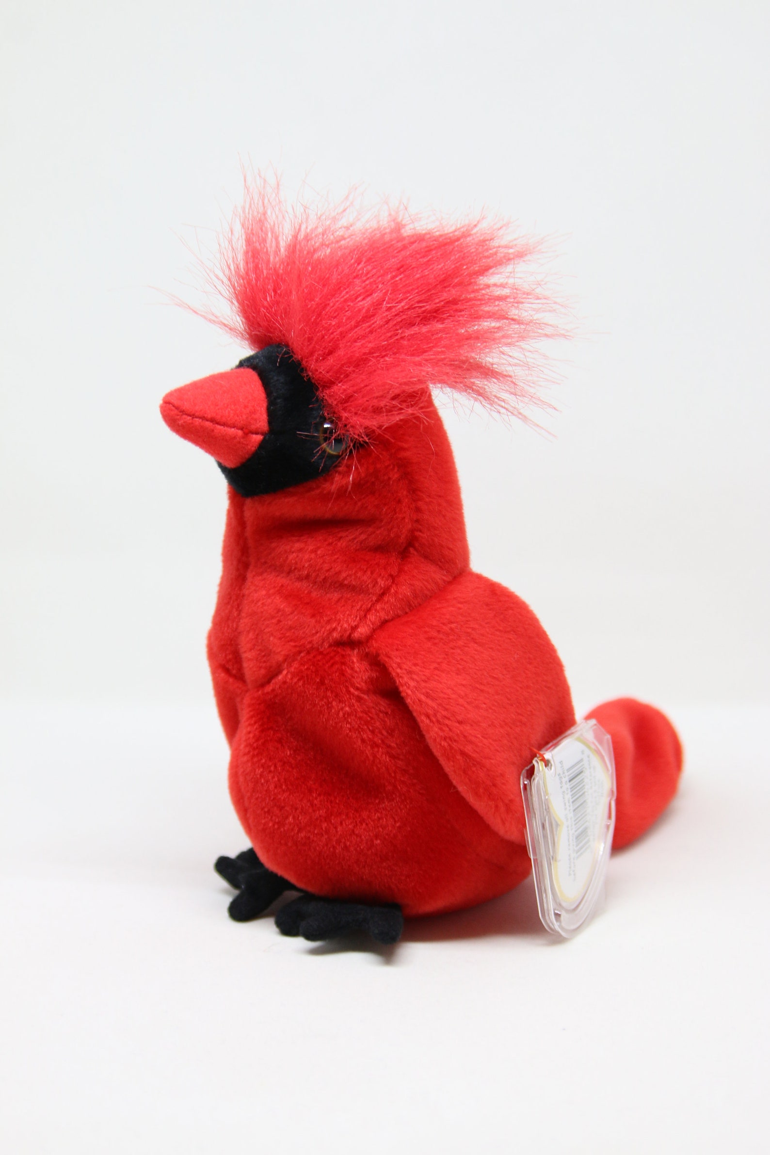 Retired RARE TY Mac Beanie Baby With Errors - Etsy