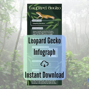 Leopard Gecko Infographic Printable