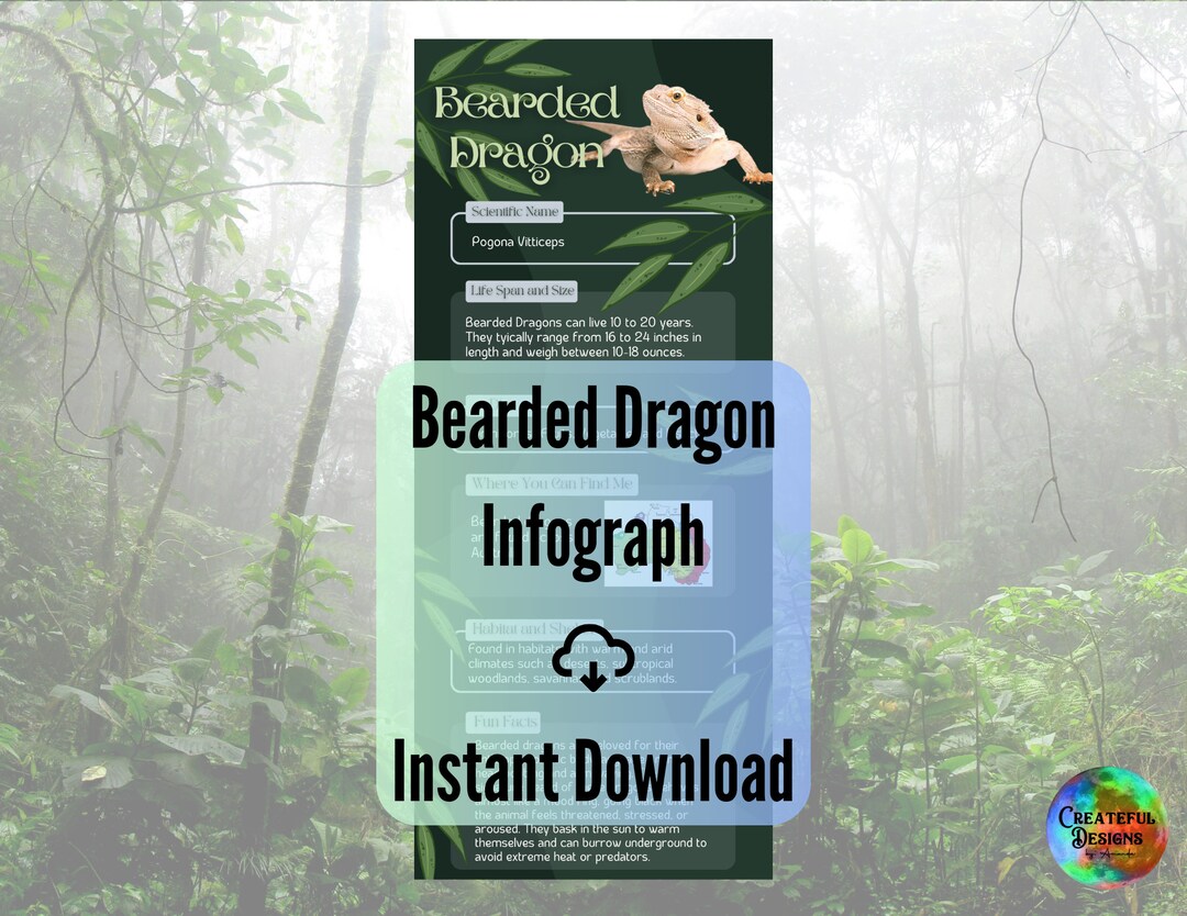 Bearded Dragon Infographic Printable - Etsy