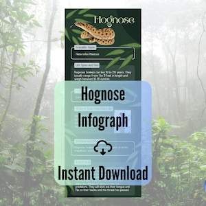 Hognose Snake Infographic afdrukbaar