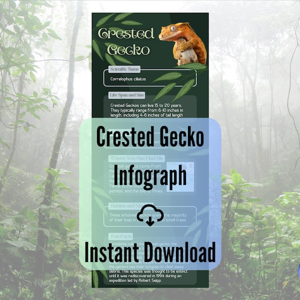 Crested Gecko Info Graph Printable