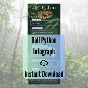 Ball Python Infographic Printable