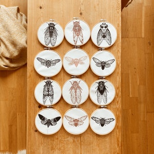 Peut inclure: Douze cerceaux à broder avec des illustrations en noir et blanc de cigales et de papillons de nuit. Les cerceaux sont disposés en trois rangées de quatre sur une surface en bois.