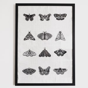 Moth Cross Stitching patterns (12 patterns)