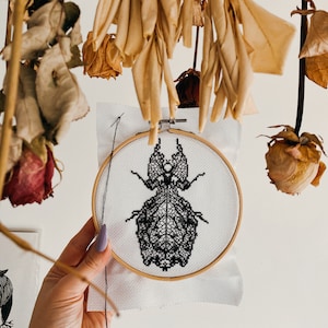 May include: A white embroidery hoop with a black and white embroidered insect design. The hoop is hanging from a dried flower arrangement.