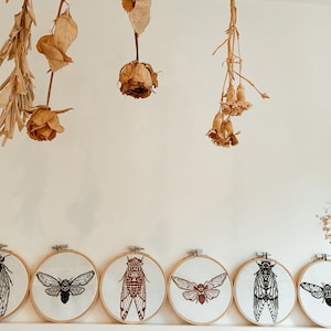 May include: Six embroidery hoops with black and brown cicada insect designs. The hoops are hanging on a white wall with dried flowers hanging above them.