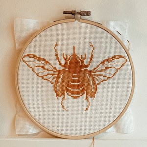Cross Stitching pattern Beetle Fig. 11 (Rhinoceros beetle)