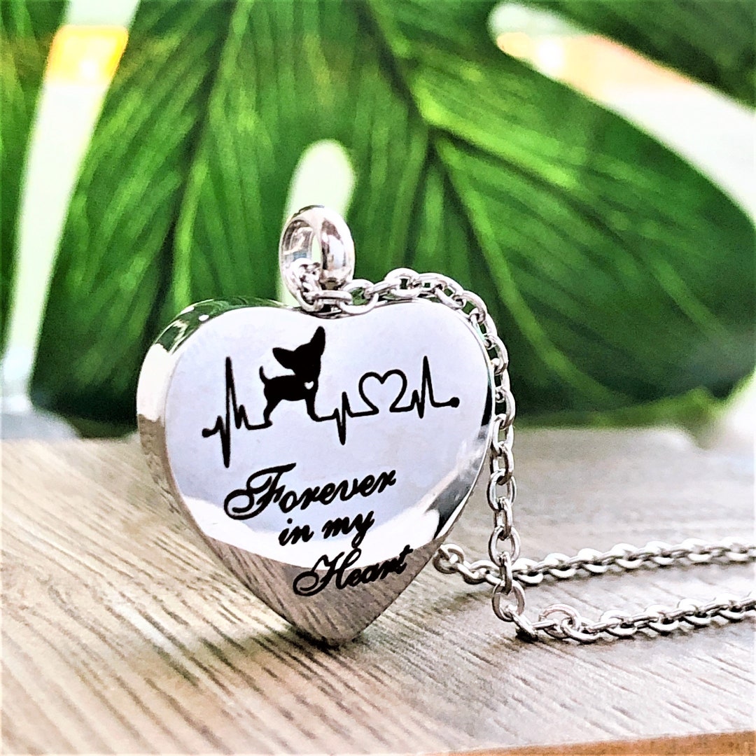 Dog Memorial Urn Necklace: Custom Heartbeat Paw Print Pet Loss Keepsake ...