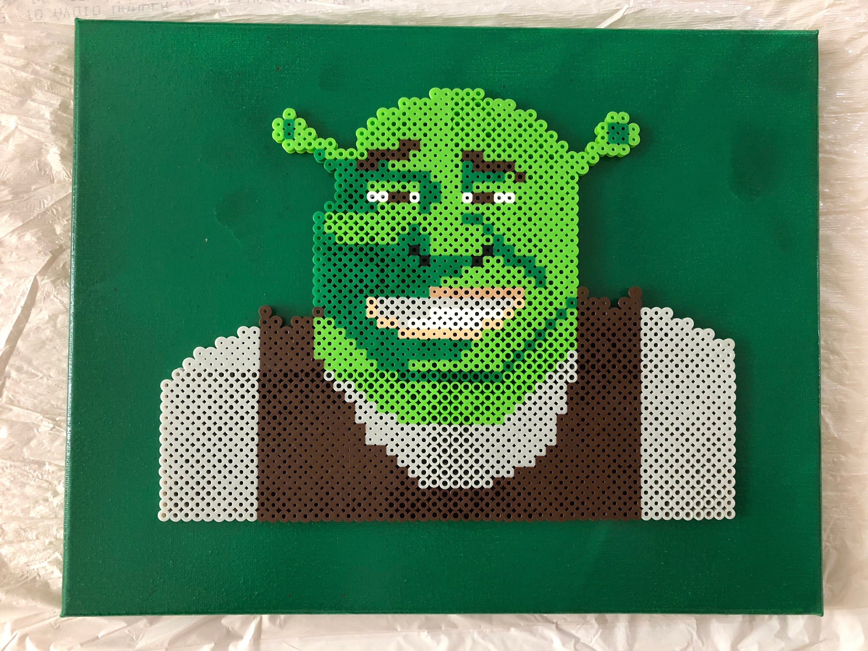 Shrek Perler Bead Art 14x11 Etsy