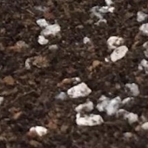 May include: A close-up view of dark brown potting soil mixed with small, irregular white perlite particles. The texture is granular and organic, showing a blend of fine dark earth and scattered light-colored mineral pieces throughout the mixture.