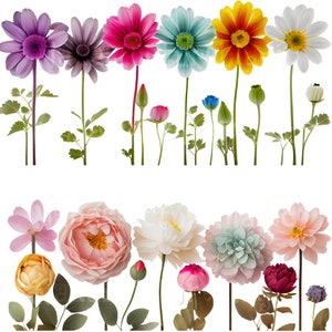 DES FLEURS PNG RÉALISTES ! Composite, numérique, clipart, création, faire-part de mariage, cartes, carnets,