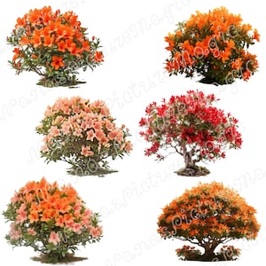 Énorme lot de fleurs superposées ! Modèle, composite, numérique, clipart, designer, Pâques, bal des finissants, remise des diplômes, faire-part de mariage, cartes postales, png