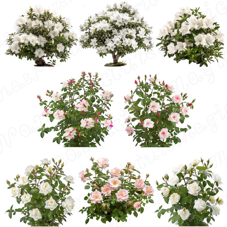 Huge BUNDLE of Overlay FLOWERS Template Composite Digital - Etsy