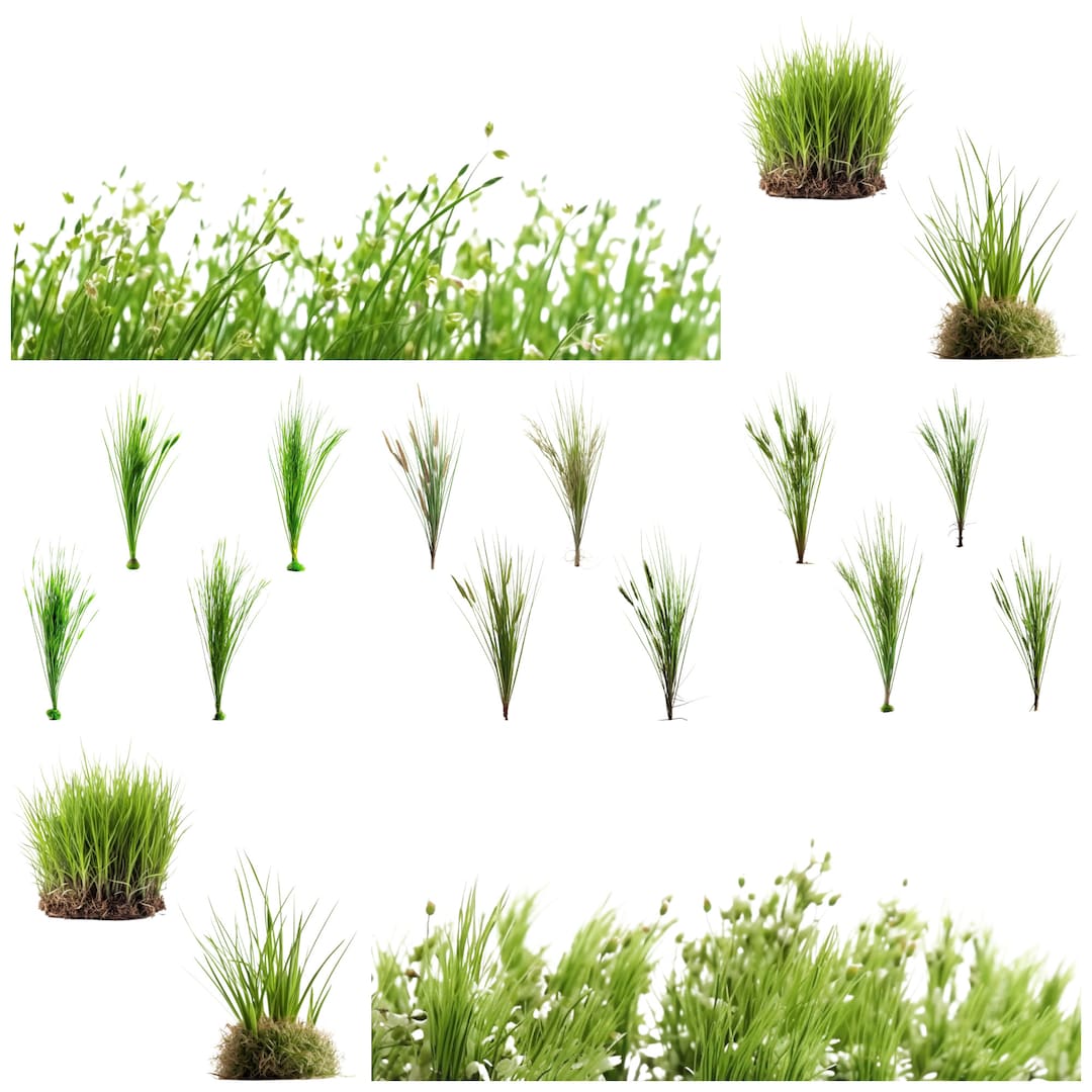 REALISTIC GRASSES Bundle, Composite, Digital Download, Clip Art