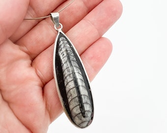 Vintage Fossil Pendant. Natural Orthoceras Pendant set in Silver. Unisex Pendant. Rocker Biker Style.