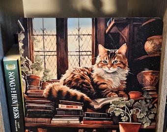 Bookshelf Cat Metal Sign / Metal Poster, Library Sign, Library Decor, Vintage Decor, Wall Art
