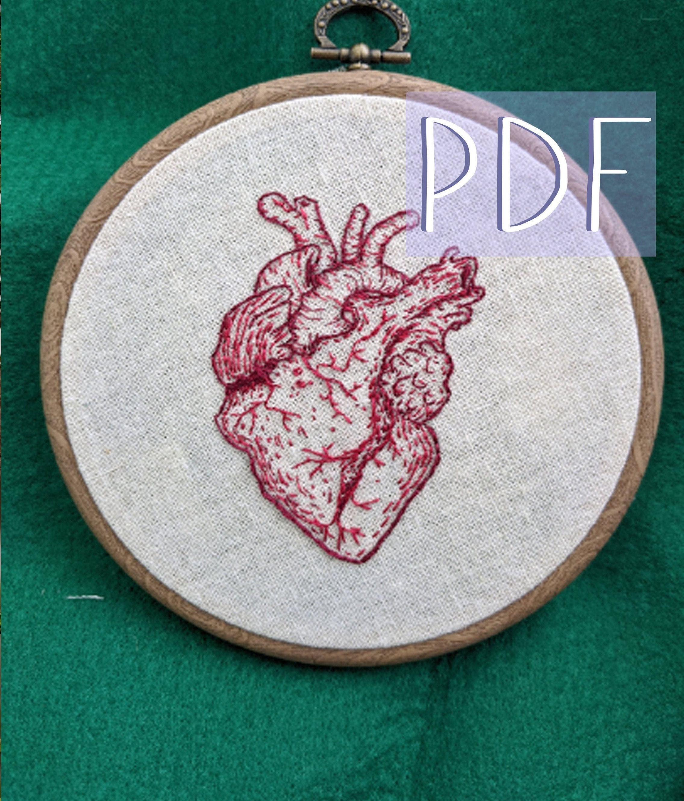 Anatomical Heart Cross Stitch Pattern Human Heart Embroidery