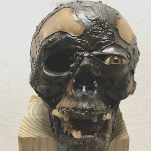 Realistic Rotting Skull Prop