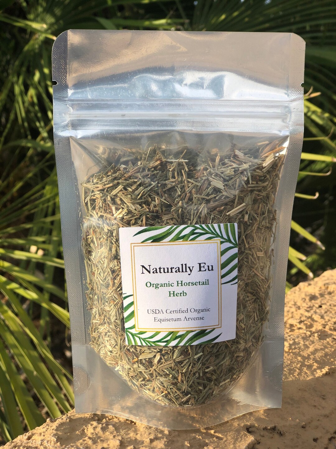 Organic Horsetail Equisetum Arvense Herb Food Grade Etsy