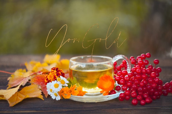 Organic Wholesale Herbal Tea Blends, Herbal Teas,  Your CHOICE 10 COUNT with your logo or business name