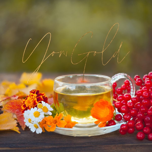 Organic Wholesale Herbal Tea Blends, Herbal Teas,  Your CHOICE 10 COUNT with your logo or business name