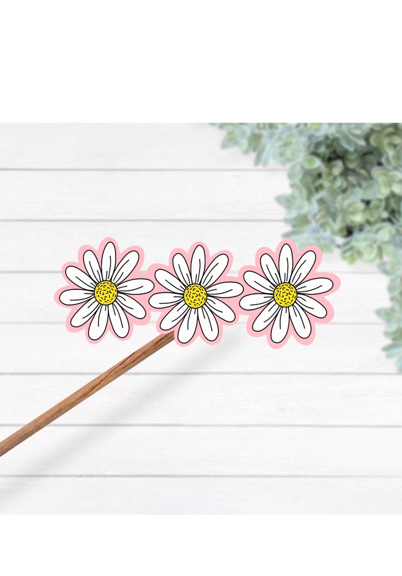 May include: Three daisy flower stickers with white petals, yellow centers, and pink outlines are attached to a wooden stick. The daisies are arranged in a row against a white wooden background.