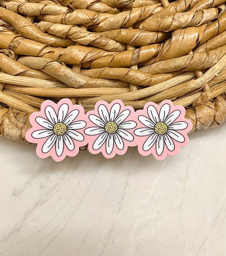 May include: A pink daisy chain with three white daisies with yellow centers and black outlines. The daisy chain is set against a woven background.