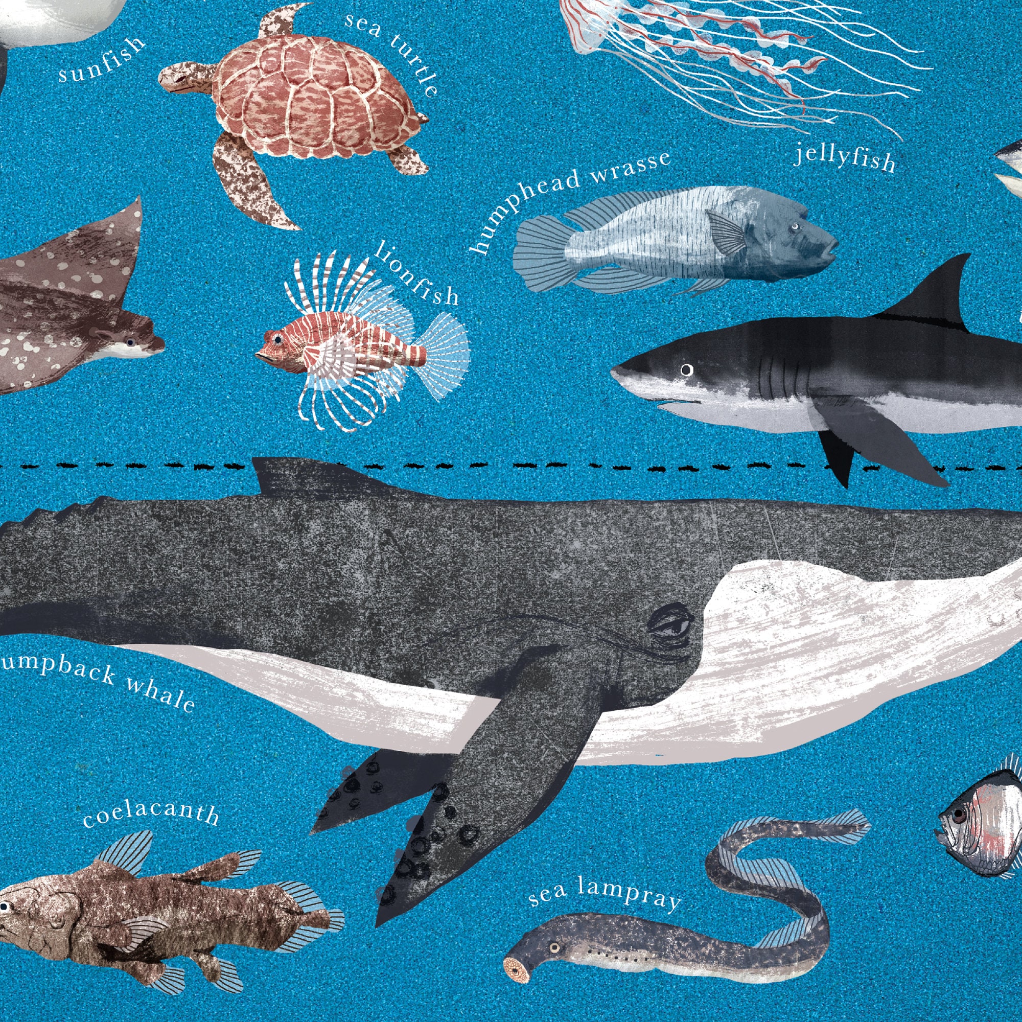 A2 Ocean Zones Poster - Etsy Australia