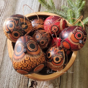 Hand Carved Owl Ornament-Hand Painted Gourd-Gourd Ornaments-Christmas Tree Ornament-Owl Decor-Christmas Ornament-Christmas Decor-Owl Gourd