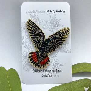 Op de afbeelding: Een zwarte en gouden emaille pin van een vogel met rode staartveren, uit de "Critically Endangered Birds Collection". De pin zit op een witte kaart met de tekst "Black Rabbit White Rabbit."