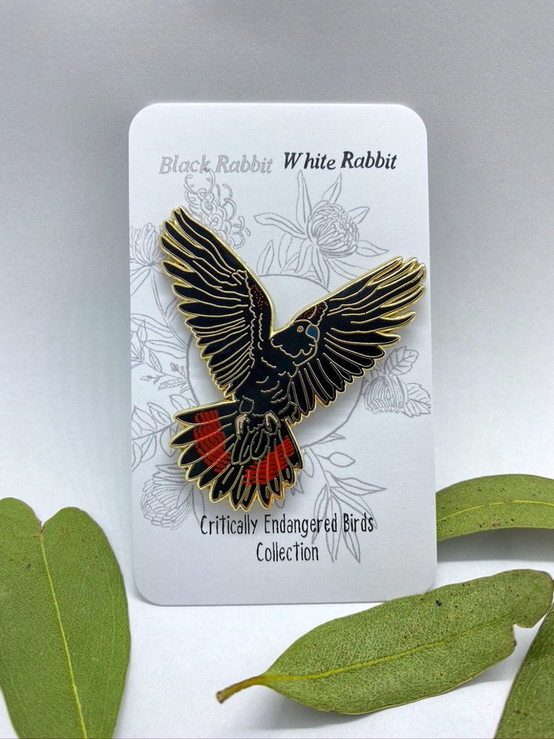 Op de afbeelding: Een zwarte en gouden emaille pin van een vogel met rode staartveren, uit de "Critically Endangered Birds Collection". De pin zit op een witte kaart met de tekst "Black Rabbit White Rabbit."