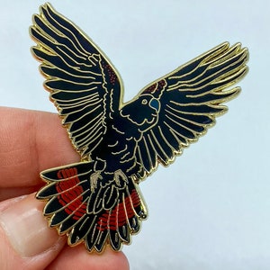 Op de afbeelding: Een zwarte en gouden emaille pin in de vorm van een vogel met uitgespreide vleugels. De vogel heeft rode accenten op zijn staartveren en kop. De pin heeft een gouden rand en staat tegen een witte achtergrond.