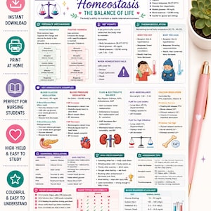 Puede incluir: Una hoja de referencia de anatomía y fisiología titulada Homeostasis The Balance of Life, que presenta diagramas educativos, gráficos y texto sobre mecanismos de retroalimentación y sistemas corporales en una página de 21,6 por 27,9 cm.