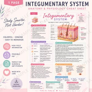 Può includere: Una scheda didattica di anatomia e fisiologia intitolata Integumentary System. Presenta un diagramma a sezione trasversale della pelle umana, testi dettagliati sulle funzioni primarie, strutture, vocabolario chiave, collegamenti clinici e consigli.