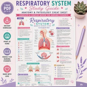 May include: A digital respiratory system study guide for nursing students, featuring an anatomical diagram of the lungs, trachea, and alveoli, with text sections on primary functions, major structures, clinical connections, and normal values.