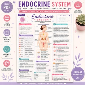 Guía de estudio del sistema endocrino / Hoja de referencia de anatomía y fisiología (descarga en PDF)