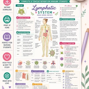 Op de afbeelding: Een digitale studiegids voor het lymfestelsel, opgemaakt als een PDF van 8,5 bij 11 inch. Het document bevat anatomische diagrammen, tekstuele samenvattingen, klinische verbanden en tabellen die de anatomie en fysiologie van het systeem beschrijven.
