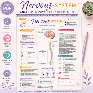 Może przedstawiać: Cyfrowy przewodnik do nauki zatytułowany Nervous System Anatomy & Physiology Study Guide, 21,6 x 27,9 cm. Dokument zawiera centralny schemat mózgu i rdzenia kręgowego oraz sekcje dotyczące głównych funkcji, struktur i powiązań klinicznych.