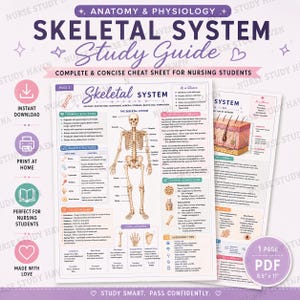 Studiehandledning för skelettsystemet | Anatomi och fysiologi fusklapp (PDF-nedladdning)