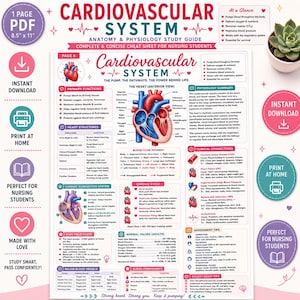 Può includere: Una guida di studio digitale per il sistema cardiovascolare, formattata come PDF da 21,6 cm per 27,9 cm. Il documento presenta diagrammi anatomici del cuore, percorsi del flusso sanguigno, grafici del ciclo cardiaco e riassunti clinici per infermieri.