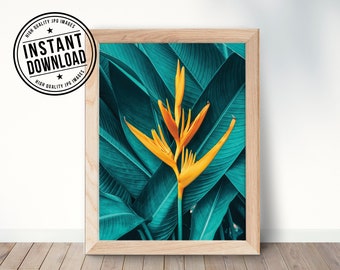AVE DEL PARAISO, Strelitzia reginae, fleur tropicale, affiche numérique imprimée, téléchargement instantané